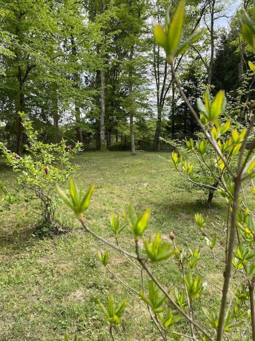 Gite Les Reculons Au Pied Du Lac Les Midoux Εξωτερικό φωτογραφία